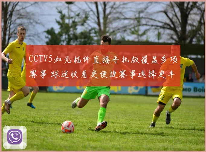 CCTV5加无插件直播手机版覆盖多项赛事 球迷收看更便捷赛事选择更丰富