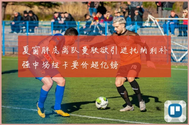 夏窗胖虎离队曼联欲引进托纳利补强中场纽卡要价超亿镑