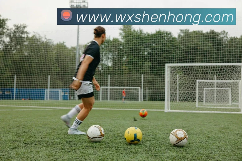 米兰站官网入口发展历程